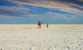 Rann of kutch